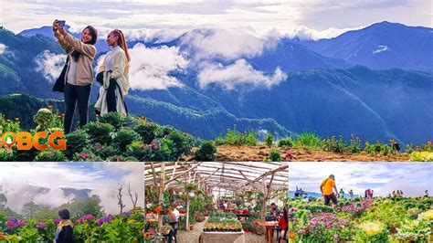 weather in atok benguet 10 days